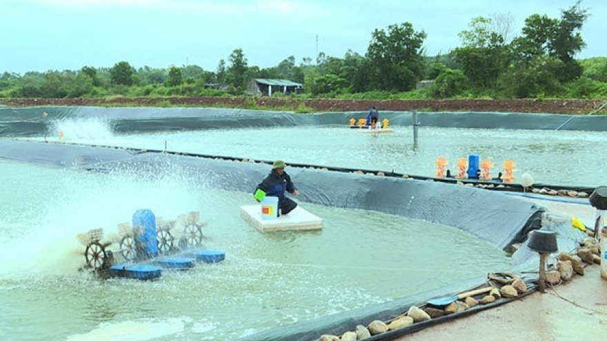 12 địa phương được hỗ trợ kinh phí thực hiện chính sách phát triển thủy sản